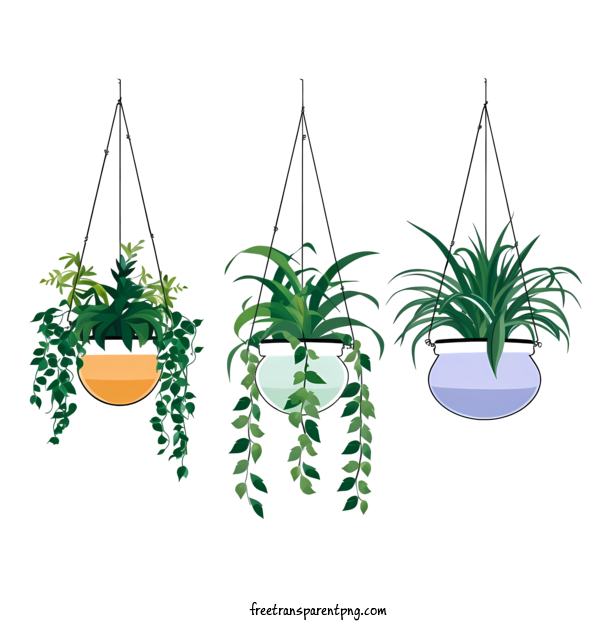 Free Hanging Plant With Pot Hanging Plant With Pot Plant Hanging Plant For Hanging Plant With Pot Clipart Transparent Background