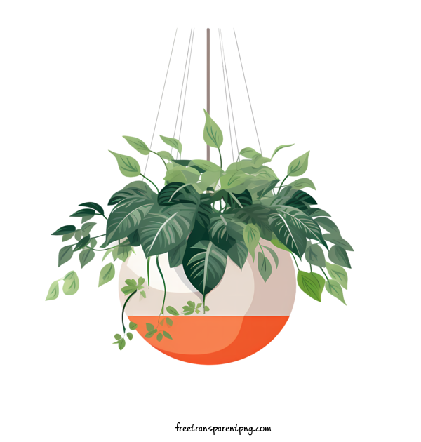 Free Hanging Plant With Pot Hanging Plant With Pot Plant Pot For Hanging Plant With Pot Clipart Transparent Background