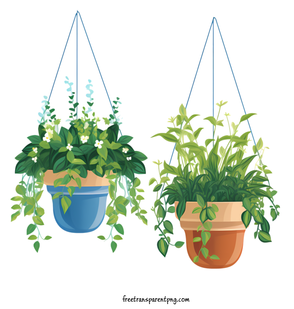 Free Hanging Plant With Pot Hanging Plant With Pot Planter Hanging Planter For Hanging Plant With Pot Clipart Transparent Background