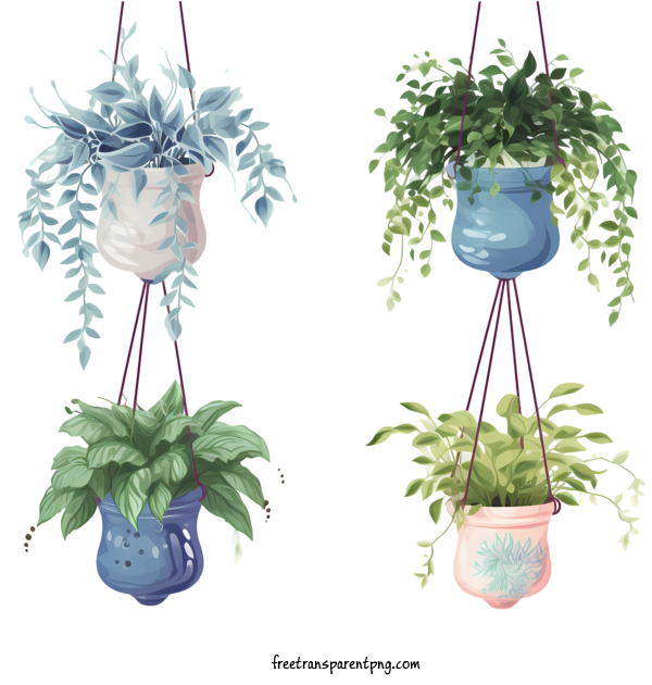 Free Hanging Plant With Pot Hanging Plant With Pot Plant Hanging Planters For Hanging Plant With Pot Clipart Transparent Background