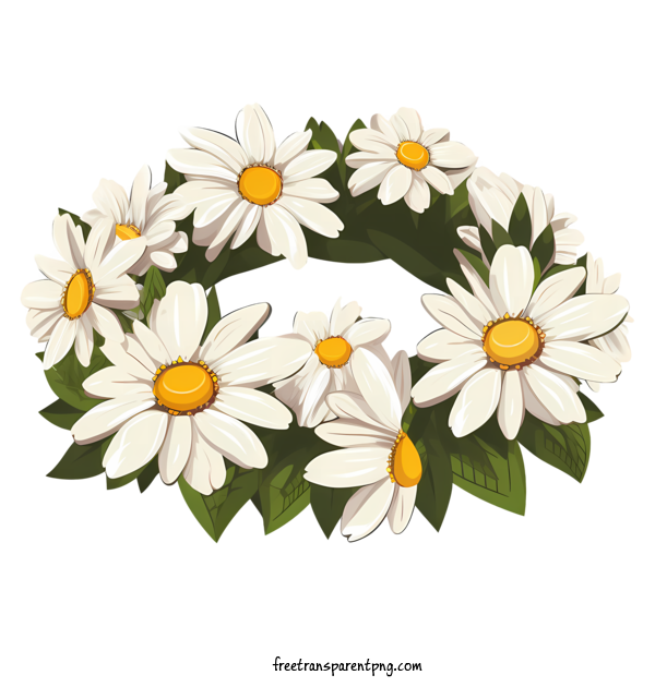 Free Daisy Flower Daisy Flower Floral Daisies For Daisy Flower Clipart Transparent Background