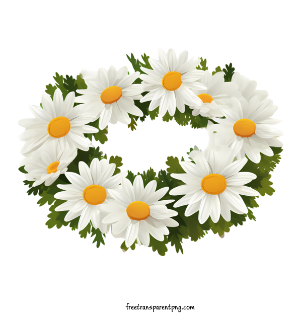 Free Daisy Flower Daisy Flower Daisy Wreath For Daisy Flower Clipart Transparent Background