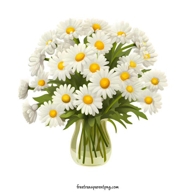 Free Daisy Flower Daisy Flower Daisies Bouquet For Daisy Flower Clipart Transparent Background