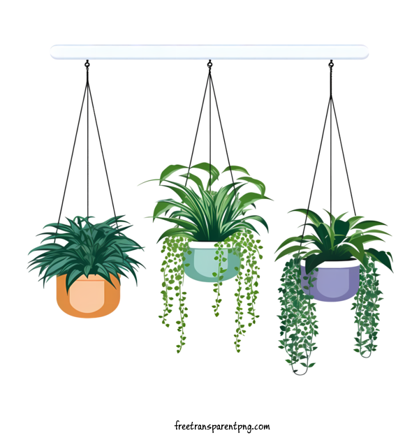 Free Hanging Plant With Pot Hanging Plant With Pot Plants Hanging Pots For Hanging Plant With Pot Clipart Transparent Background