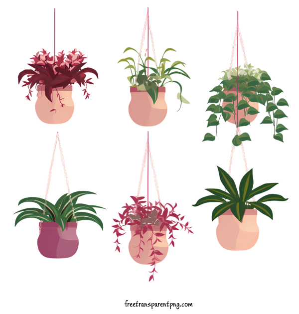 Free Hanging Plant With Pot Hanging Plant With Pot Potted Plants Hanging Planters For Hanging Plant With Pot Clipart Transparent Background