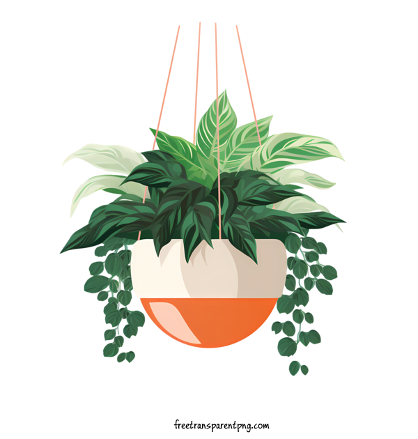 Free Hanging Plant With Pot Hanging Plant With Pot Potted Plant Hanging Planter For Hanging Plant With Pot Clipart Transparent Background