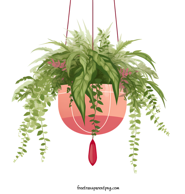 Free Hanging Plant With Pot Hanging Plant With Pot Plant Hanging For Hanging Plant With Pot Clipart Transparent Background