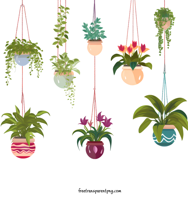 Free Hanging Plant With Pot Hanging Plant With Pot Flower Potted Plants For Hanging Plant With Pot Clipart Transparent Background