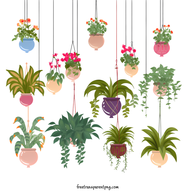 Free Hanging Plant With Pot Hanging Plant With Pot Flowers Hanging Plants For Hanging Plant With Pot Clipart Transparent Background
