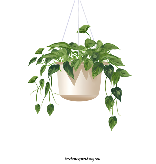 Free Hanging Plant With Pot Hanging Plant With Pot Potted Plant Hanging Plant For Hanging Plant With Pot Clipart Transparent Background