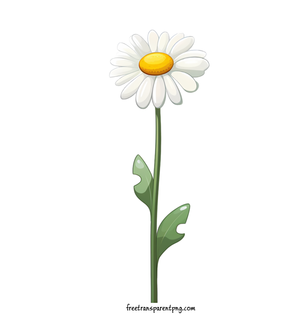 Free Daisy Flower Daisy Flower Daisy White For Daisy Flower Clipart Transparent Background