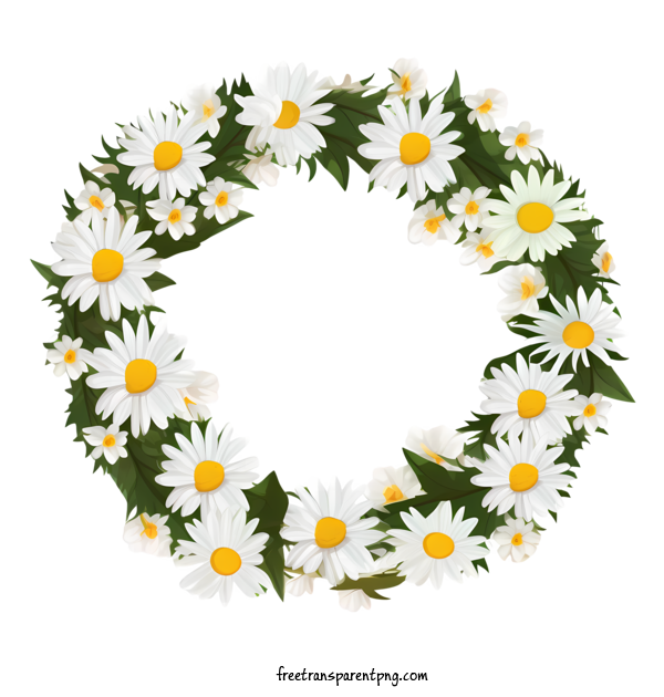 Free Daisy Flower Daisy Flower Wreath Daisy For Daisy Flower Clipart Transparent Background
