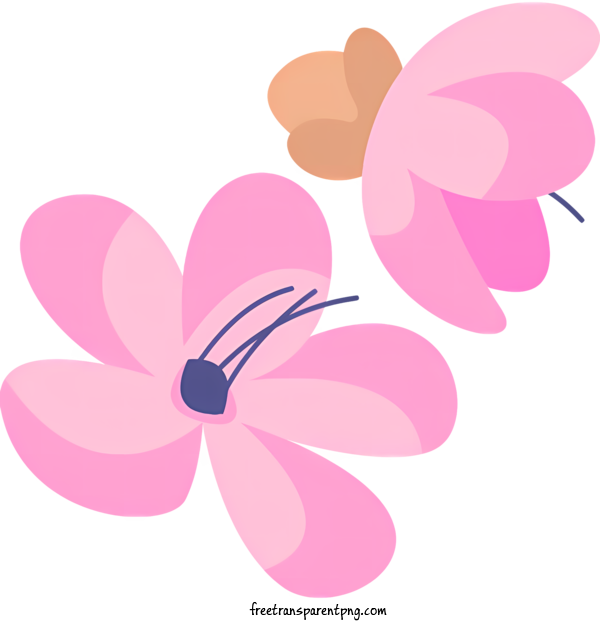 Free Spring Spring Pink Flower Petal For Spring Clipart Transparent Background