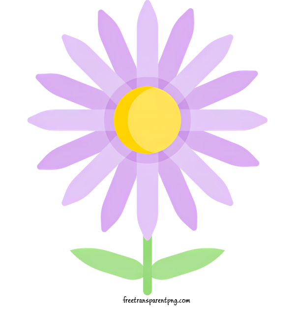 Free Spring Spring Flower Daisy For Spring Clipart Transparent Background