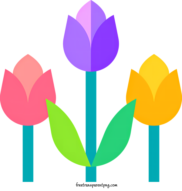 Free Spring Spring Tulips Flower For Spring Clipart Transparent Background